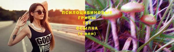 бошки Абинск