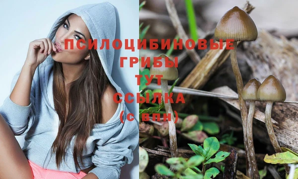 метадон Абаза