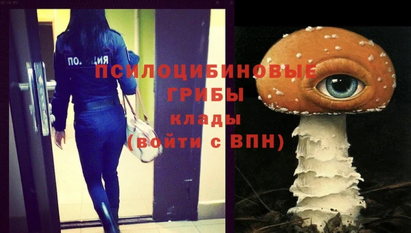 метадон Абаза