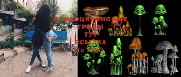 бошки Абинск