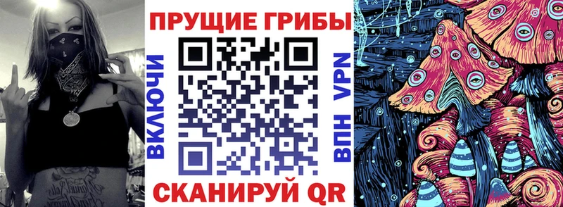 Псилоцибиновые грибы MAGIC MUSHROOMS  Власиха 