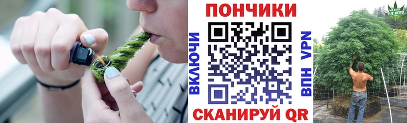 как найти наркотики  Власиха  Шишки марихуана SATIVA & INDICA 